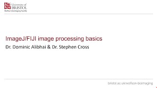 Basics of image processing and analysis in ImageJFiji Part 2 [upl. by Lentha]