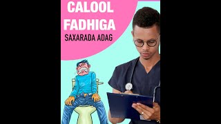 MAXAA KEENA CALOOL XIRANKA  CALOOL FADHIGA [upl. by Noemad]