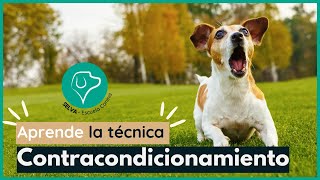 Contracondicionamiento en PERROS 👀 Aprende Fácil ⚡ [upl. by Leizo385]