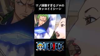 【MAD】ワノ国強すぎるゾロのカッコいいシーン ワンピース onepiece アニメ [upl. by Assilanna]