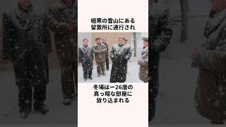 ノック亡命の脱北に失敗した大学生の末路 北朝鮮 金正恩 [upl. by Warrenne]