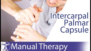 Intercarpal Assessment amp Mobilization Wrist Extension  Radioscaphoid Joint [upl. by Tanaka]