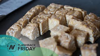 Flashback Friday Fermented or Unfermented Soy Foods for Prostate Cancer Prevention [upl. by Jeffrey]