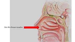 La Désobstruction Rhinopharyngée DRP Lavage du nez du nourrisson [upl. by Dotty]