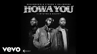 Shaunmusiq amp Ftears x Daliwonga  Howa You Official Audio [upl. by Kettie]