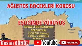 Doğanın Muhteşem Melodileri Eşliğinde Yürüyüş [upl. by Grayson395]