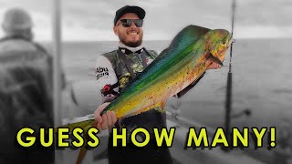 Yamba Offshore Fishing for Mahi Mahi dolphinfish [upl. by Nodnorb]