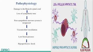 Neurogenic Shock Presentation [upl. by Weksler]