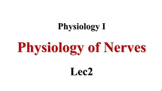 Resting Membrane Potential RMP Lec2 Physiology I [upl. by Llenwahs18]