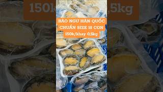 BÀO NGƯ HÀN QUỐC CHUẨN SIZE 18 CONKG [upl. by Eidoj]