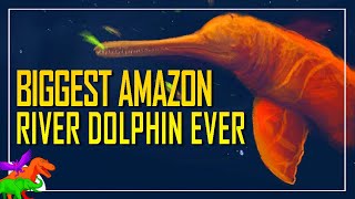 Giant Prehistoric River Dolphin Was Amazon’s Apex Riverine Mammal Predator [upl. by Aigneis692]