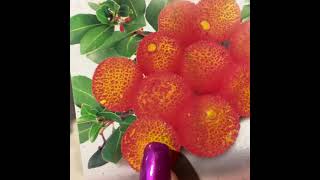 Земляни́чное де́рево Земляни́чник Арбутус Arbutus unedo [upl. by Ailadgim]