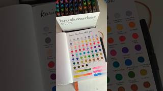 swatching karin brushmarker pro set karin brushmarkers markers markertutorial swatches journal [upl. by Ainelec766]