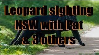 Big Black Leopard sighting NSW with Pat and 2 others [upl. by Emiaj405]