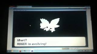 My Rufflet Evolving in Pokemon Light Platinum [upl. by Kristel866]