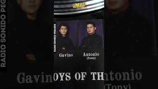 1992  Gavino y La Sombra  Si tu supieras  Disco Vinyl [upl. by Aro908]