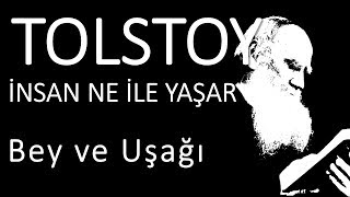 quotİnsan ne ile yaşarquot bölüm quotBey ve Uşağıquot Tolstoy sesli kitap okuyan Akın ALTAN [upl. by Dede]