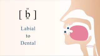 b̪̎  voiced labiodental tensed stop [upl. by Pears851]