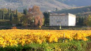 La tua vacanza in Valpolicella  Strada del vino Valpolicella [upl. by Ahsias888]