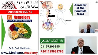 Localization of Neurological Lesions Part 1 usmle internalmedicine cme ecg  محاضراتباطنة [upl. by Bravin479]