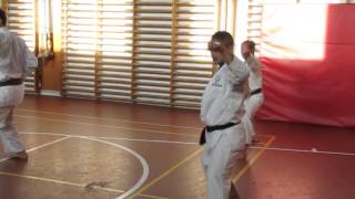 Kaisensei leading the class in kata Junro shodan [upl. by Jos]