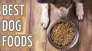 ⭐️ Best Dog Food TOP 10 Dog Foods 2019 REVIEWS ⭐️ [upl. by Onitsoga]