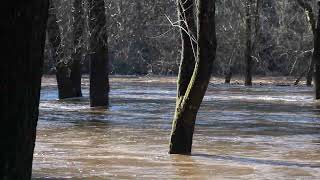 Flooding Along the Neshaminy Creek [upl. by Noirrad]