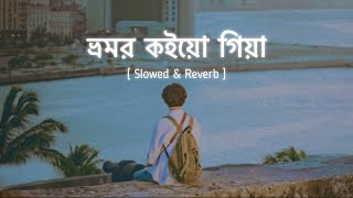 ভ্রমর কইয়ো গিয়া  Slowed amp Reverb  Bhromor Lofi  Surojit  Radharaman Dutta  Zihans Lofi [upl. by Barclay]