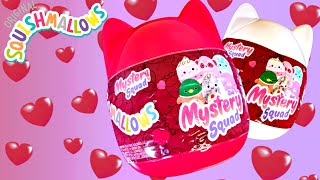 Squishmallows Mystery Squad  Valentines 2024  Adult Collector Review [upl. by Zeta]