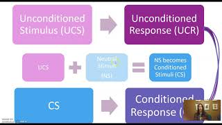 Conditioned vs Unconditioned Stimulus and Response [upl. by Ynnohj]