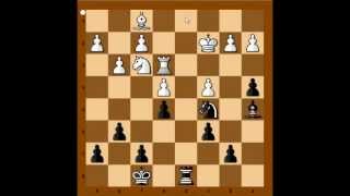 Kings Indian Defense Danailov vs Kasparov Dortmund 1980 [upl. by Feilak542]