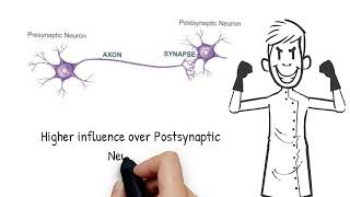 Synaptic Transmission Chemical Or Electrical  Neuroscience [upl. by Frey]