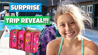 SURPRISE TRIP REVEAL  FAMILY VLOG [upl. by Maxma]