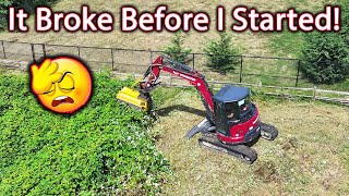 Excavator Rediscovering an HOA Pond Brush Mowing with a Flail Mower excavator mower [upl. by Alwitt]