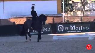 Charlotte Dujardin amp Valegro training in CDI3 Jerez 280216 [upl. by Rudin]