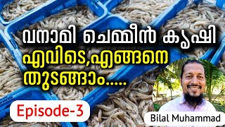 Where And How To Start Vanamei Shrimp Farming  Fish farm  വനാമി ചെമ്മീൻ കൃഷി എവിടെഎങ്ങനെ തുടങ്ങാം [upl. by Bedwell]