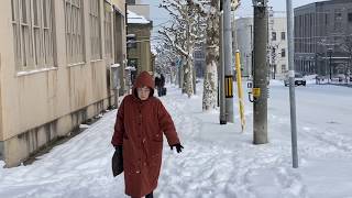 Winter in Otaru Hokkaido Japan [upl. by Yellhsa]