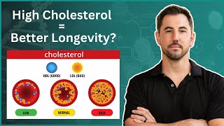 Is Higher Cholesterol Better for Longevity The CholesterolMortality Paradox [upl. by Eigroeg]