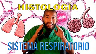 Histología  SISTEMA RESPIRATORIO Epitelio Células y su función desde la CAVIDAD NASAL al ALVEOLO [upl. by Thevenot833]