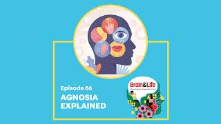 What is Agnosia and How Does it Affect the Brain’s Perception Brain amp Life Podcast [upl. by Adiaroz703]