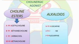 CLASSIFICATION OF CHOLINERGIC DRUGSPARASYMPATHOMIMETIC  PHARMACOLOGY  SIMPLE TRICK  MNEMONICS [upl. by Ellienad643]