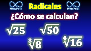 ¿Qué es un radical Explicado Súper Fácil [upl. by Hollis569]