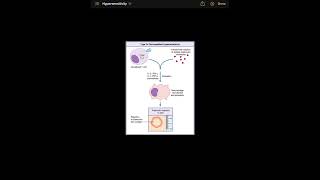 Types of hypersensitivity passmedicine [upl. by Hooge351]