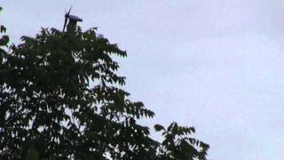 Military dual propeller Aircraft flyover Battle Creek Michigan [upl. by Burger]