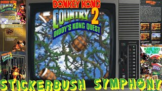 Donkey Kong Country 2 Music  Stickerbush Symphony [upl. by Gwenny]