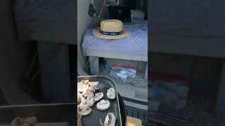 Minivan Camping campervantour camping explore vanlife diy [upl. by Basilius408]