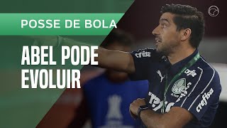 MAURO CEZAR Momento do ABEL FERREIRA no PALMEIRAS é bom mas a temporada é ruim [upl. by Yrrag]