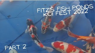 Fitzs Fish Ponds Koi Fest 2022 Part 2 [upl. by Vihs]