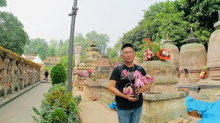 Bodhgaya the place where Buddha attained Enlightenment  Bồ Đề Đạo Tràng nơi Phật thành đạo 2023 [upl. by Home319]