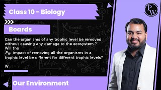 Can the organisms of any trophic level be removed without causing any damage to the ecosystem  W [upl. by Ynahteb862]